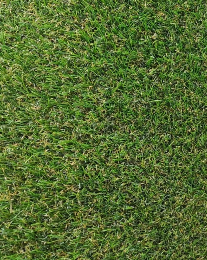 TH-1079 20mm Sarı Otlu Çim Halı - Görsel 2